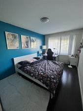 Room for rent 464 euro Randwijkhof, Amsterdam