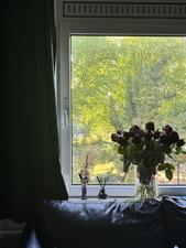 Room for rent 670 euro Ilperveldstraat, Amsterdam
