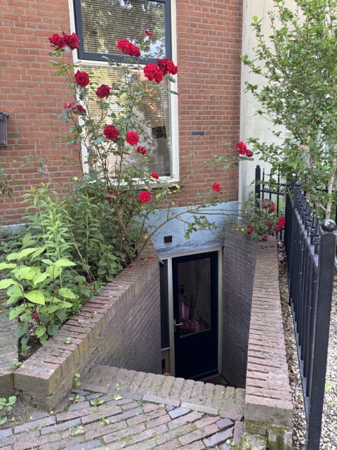 Koninginnelaan