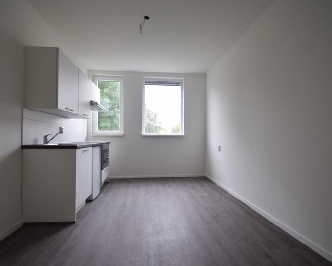Zimmer bei de Gealanden In Leeuwarden