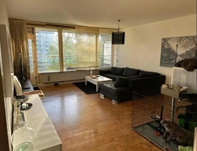 Zimmer bei Madeliefstraat In Rotterdam