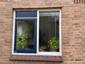 Sonoystraat