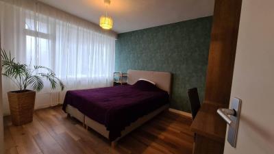 Room for rent 650 euro Denenburg, Den Haag