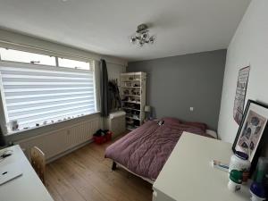 Room for rent 490 euro Grote Beerstraat, Groningen