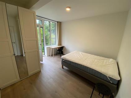 Zimmer zu vermieten 800 Euro Johan Broedeletstraat, Amsterdam