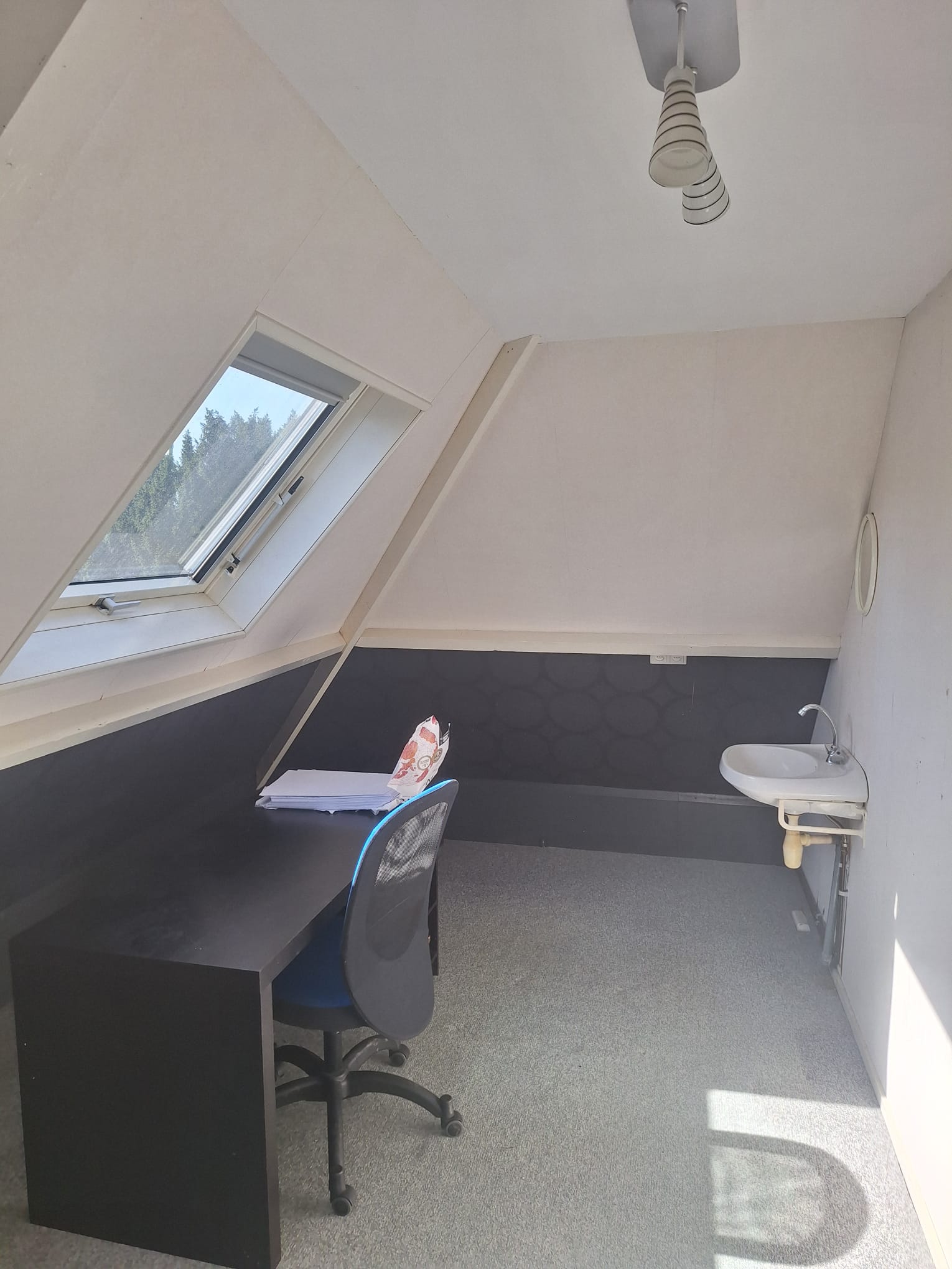 Kamer te huur in Wageningen – Veluviaweg – foto 4