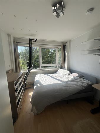 Kamer in Delft, Oudraadtweg op Kamernet.nl: Oudraadtweg 