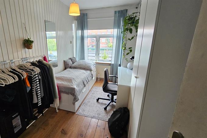 Zimmer bei Paulus Potterstraat In Groningen
