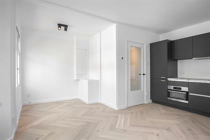Apartment for rent 1950 euro Reinwardtstraat, Den Haag