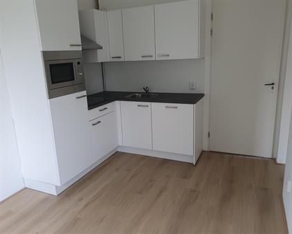 Apartment for rent 950 euro Dorpsweg, Rotterdam