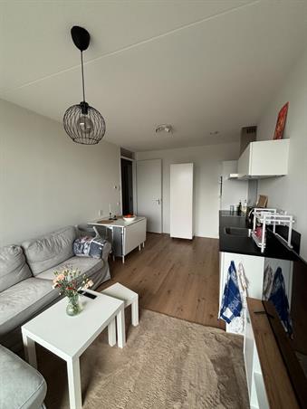 Zimmer bei Marius Bauerstraat In Amsterdam