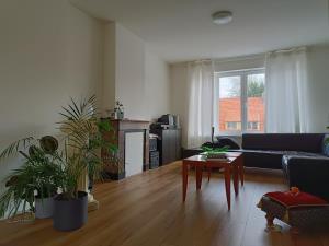 Room for rent 890 euro Bree, Rotterdam