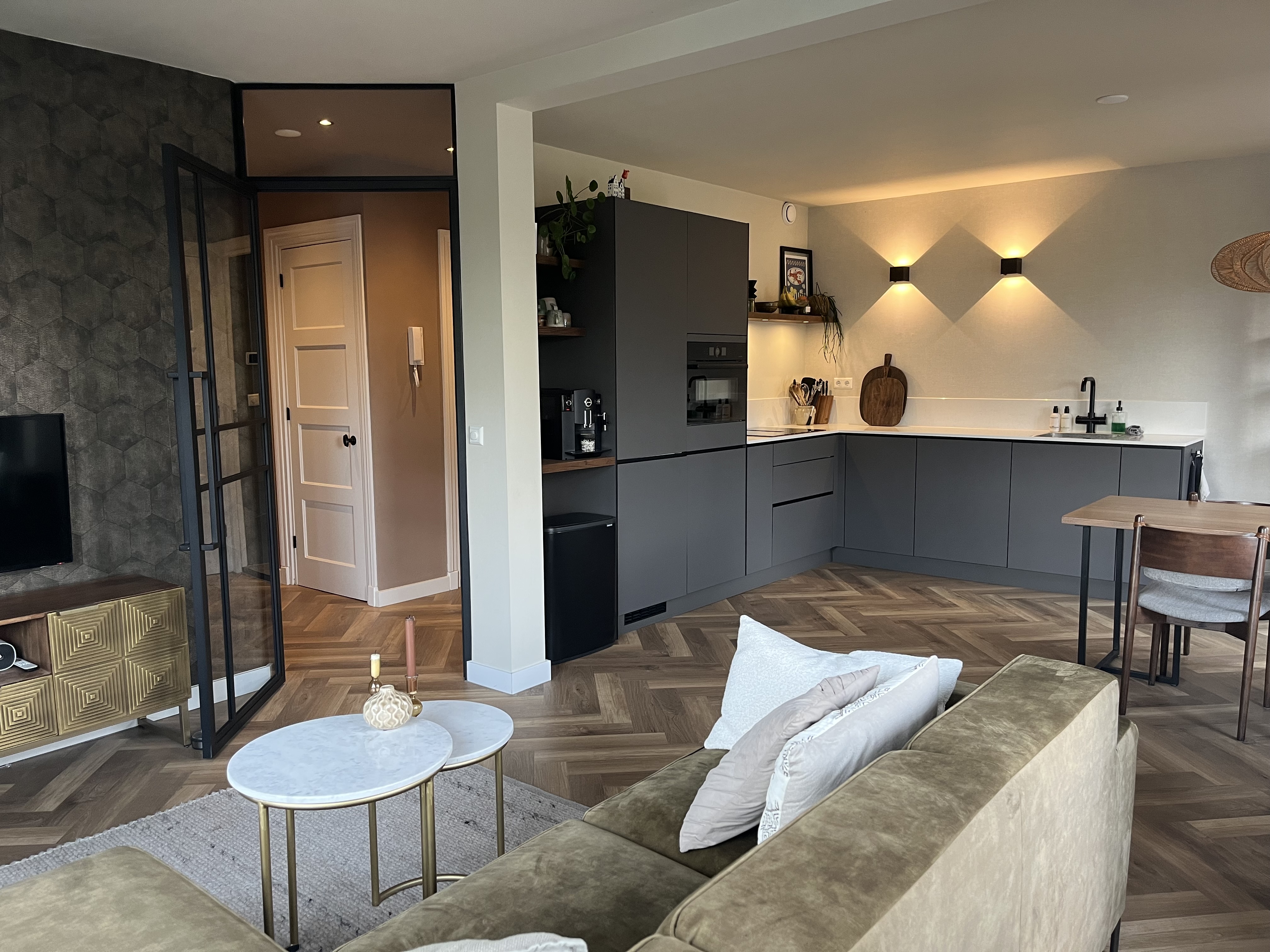 apartments for rent on Erasmusgracht