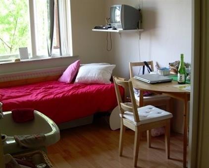 Kamer te huur 265 euro Rivierenhof, Groningen
