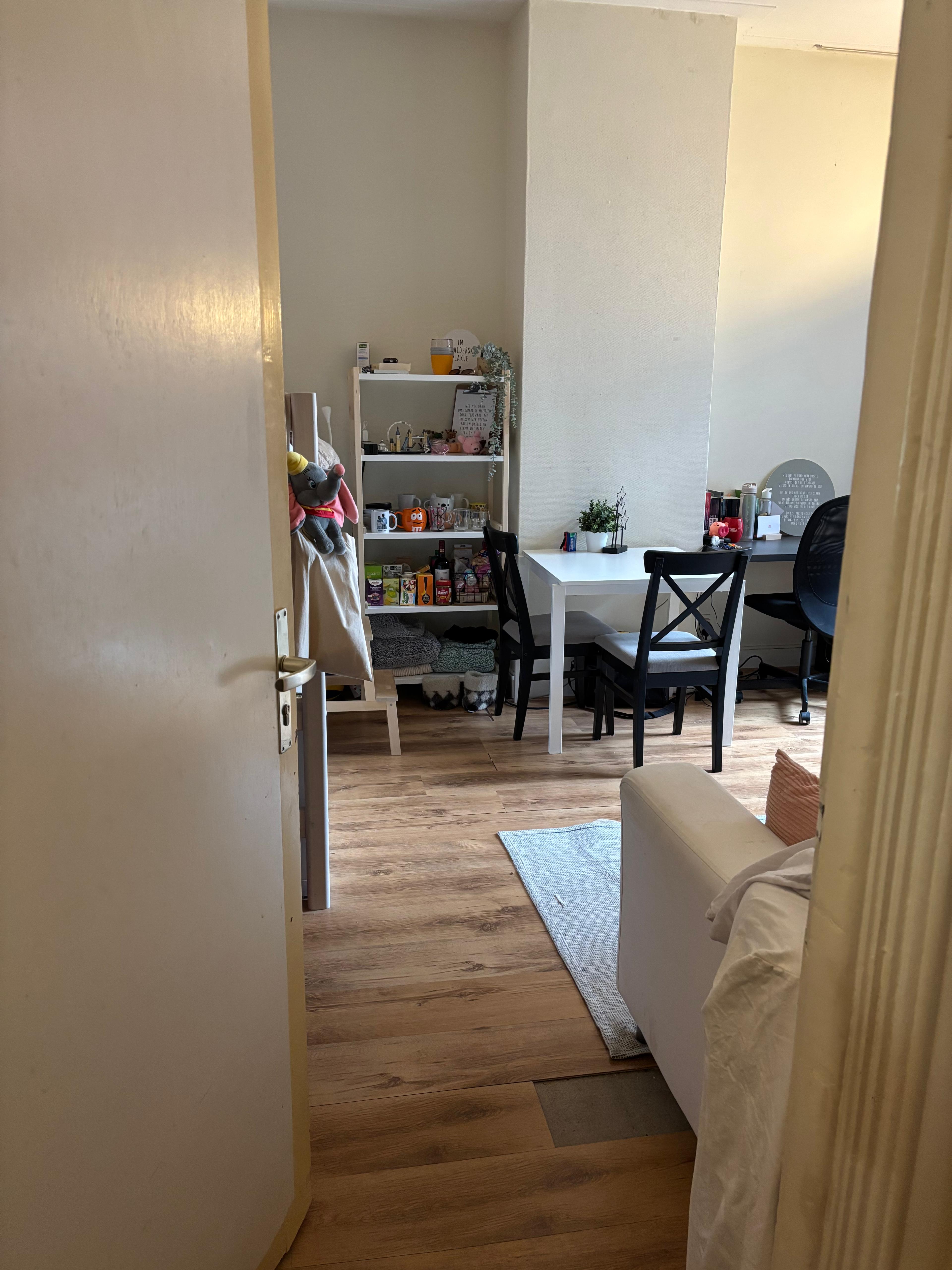 Kamer te huur in Groningen – Nassaulaan – foto 2