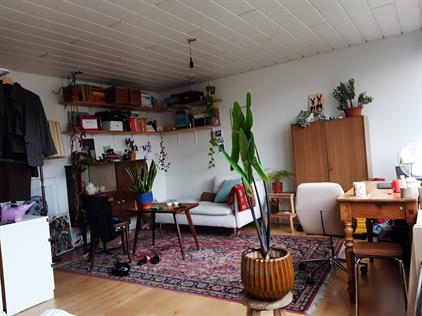 Room for rent 750 euro Johan Herman Doornstraat, Amsterdam