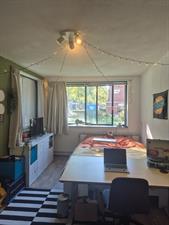 Room for rent 426 euro Onderwijsboulevard, Den Bosch