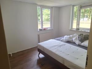 Kamer te huur 400 euro Paulus Potterstraat, Nijmegen