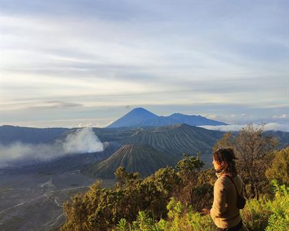 tenant image