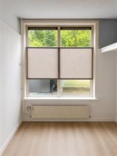 Room for rent 300 euro Burgemeester van de Mortelplein, Tilburg
