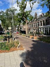 Room for rent 800 euro Blommersdijkselaan, Rotterdam