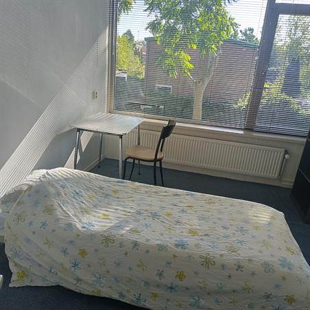 Zimmer bei Middelrode In Rotterdam