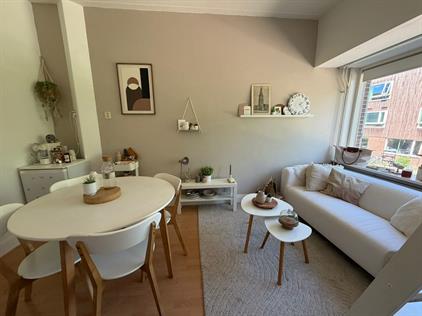 Room for rent 634 euro Molukkenstraat, Groningen