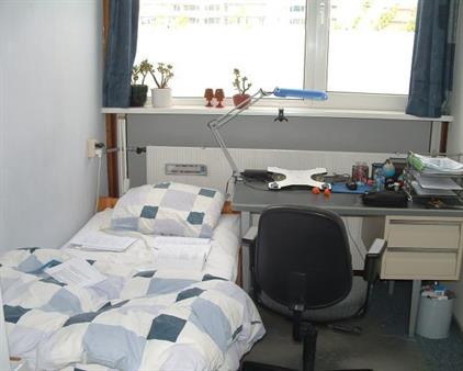 Room for rent 570 euro Lodewijk van Deysselhof, Delft