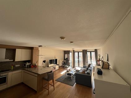 Room for rent 1200 euro Ruyschstraat, Amsterdam