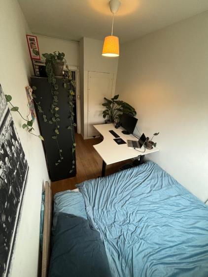 Room for rent 800 euro Van Baerlestraat, Amsterdam