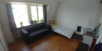 Room for rent 440 euro Van de Spiegelstraat, Delft