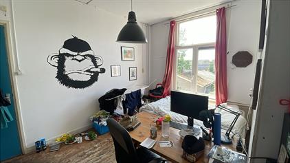 Kamer te huur 380 euro Spoorsingel, Delft