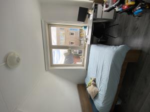 Kamer te huur 550 euro Lombokstraat, Enschede