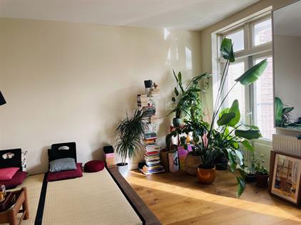 Apartment for rent 1600 euro Cornelis Trooststraat, Amsterdam