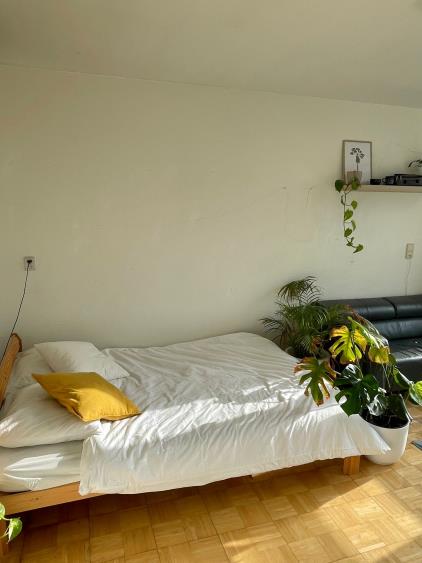 Room for rent 660 euro Van Almondestraat, Delft