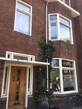 Kamer te huur 480 euro Lodewijk Napoleonplein, Eindhoven
