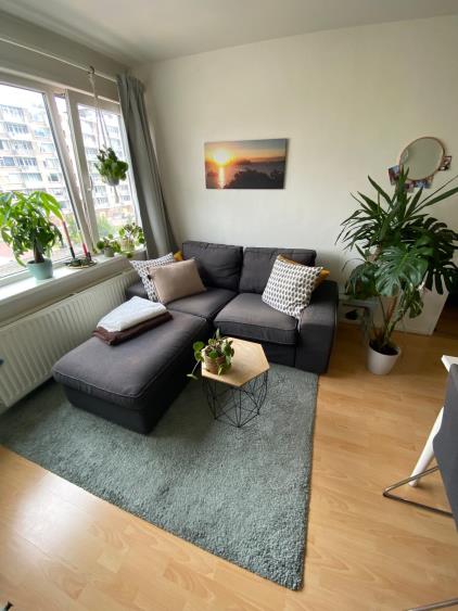 Room for rent 850 euro Louis Schottingstraat, Amsterdam