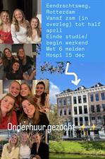 Room for rent 600 euro Eendrachtsweg, Rotterdam