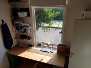 Room for rent 325 euro Van Renswoudestraat, Delft