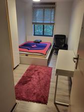 Room for rent 1300 euro Bijlmerdreef, Amsterdam
