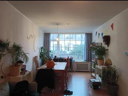 Apartment for rent 800 euro Buys Ballotsingel, Schiedam