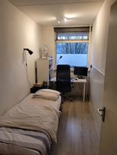 Room for rent 485 euro Steenvoordelaan, Rijswijk
