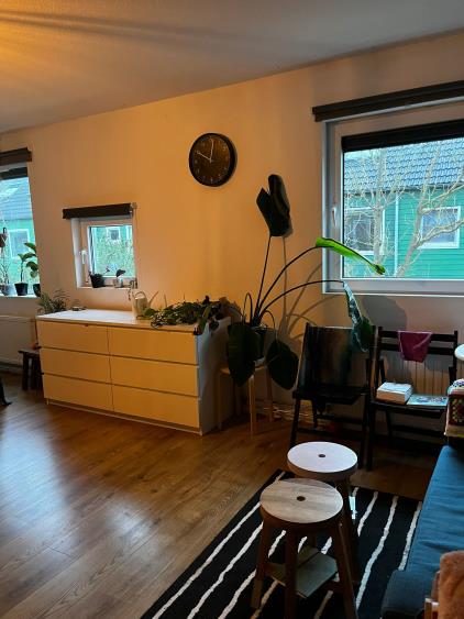 Room for rent 450 euro Bedumerschans, Nieuwegein