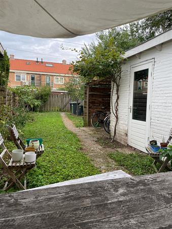 Kamer in Arnhem, Ranonkelstraat op Kamernet.nl: KAMER VRIJ IN GEZELLIG MEIDENHUIS IN ARNHEM! 