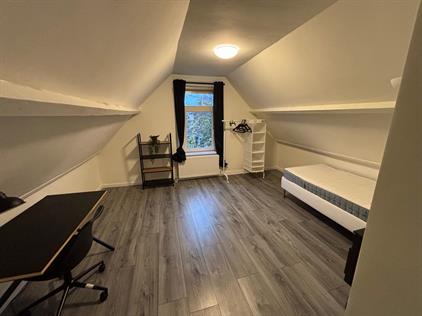 Room for rent 1000 euro Woelwijkstraat, Rotterdam