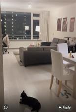 Room for rent 850 euro Groenhof, Amstelveen