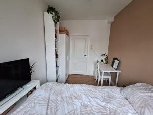 Room for rent 515 euro Doggerstraat, Rotterdam