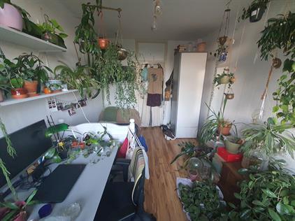 Kamer te huur 385 euro Zweringweg, Enschede