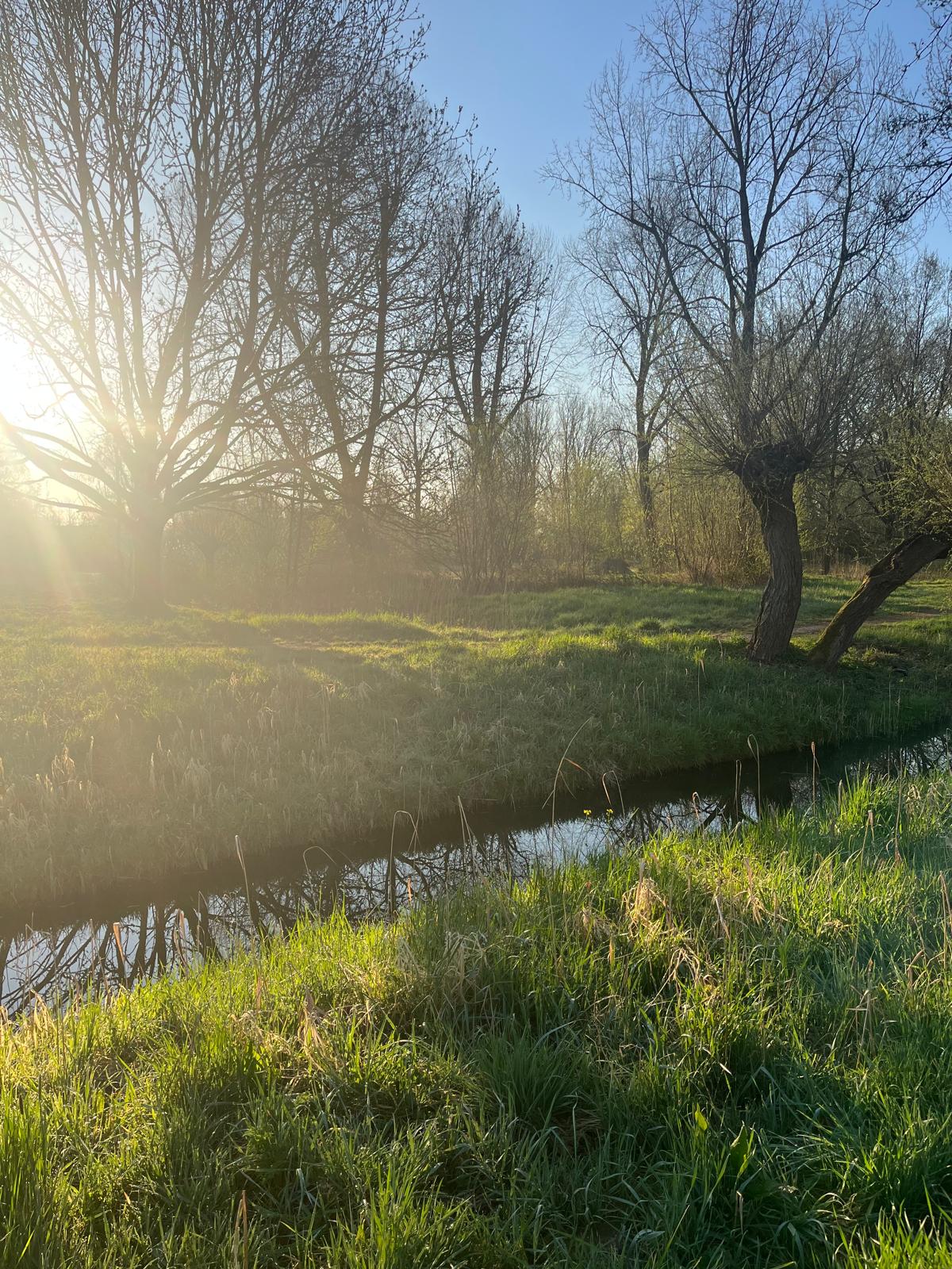 Kamer aan Orvelterdek, Nieuwegein 10