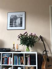 Apartment for rent 1550 euro Rustenburgerstraat, Amsterdam